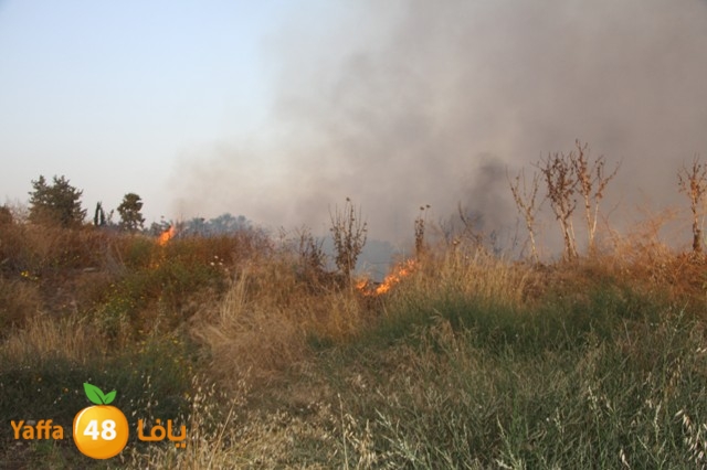 fireina7rashyaffa505 (2).JPG